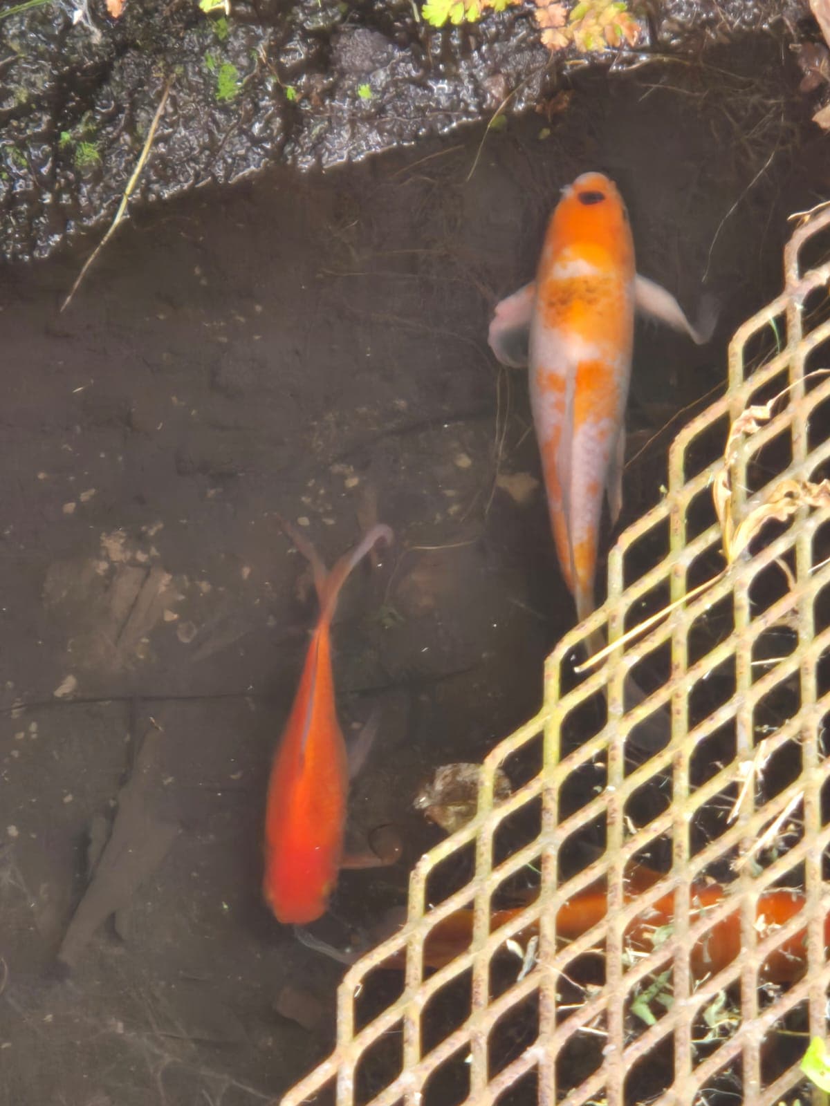 Foto de Senderos Amados 16